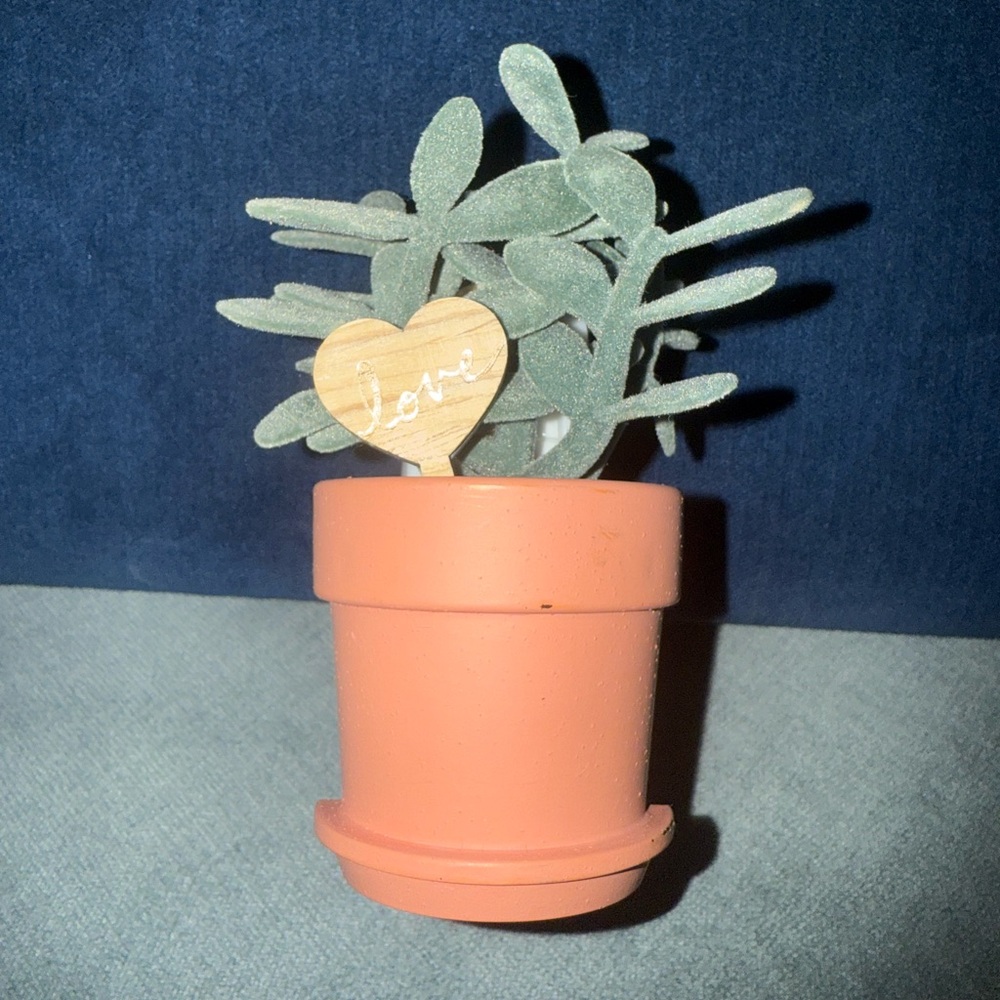 Wallflower: Terracotta Potted Faux Plant with Heart Tag - Picture 4 of 6